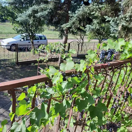 Backi Raj * Gornja Rogatica