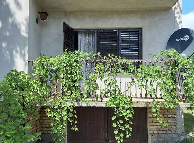 Backi Raj Дом отдыха *