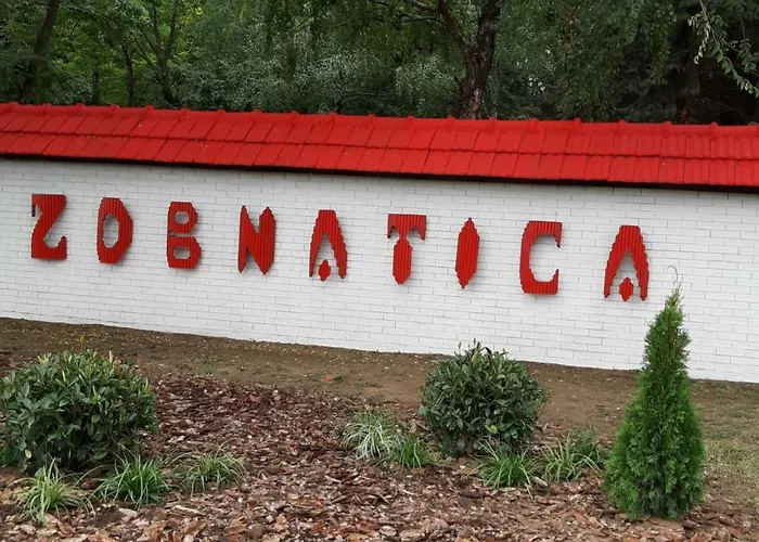 Backi Raj Дом отдыха