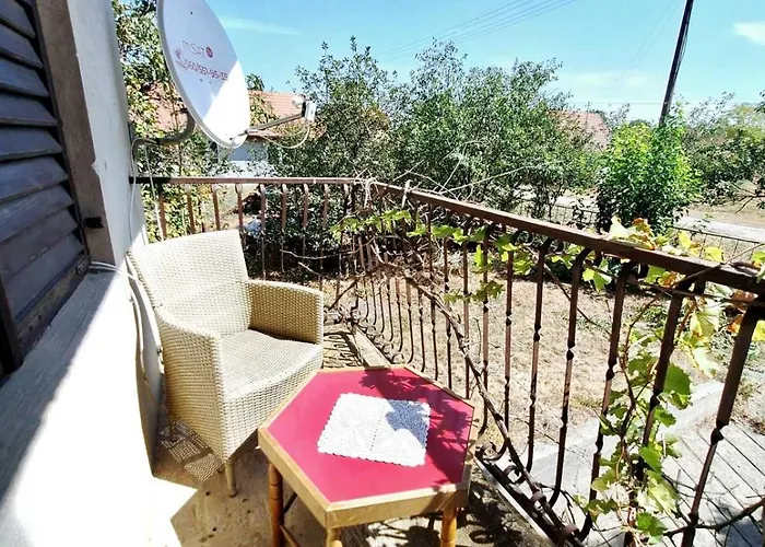 Backi Raj Дом отдыха *